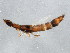  ( - BIOUG01992-G07)  @13 [ ] CreativeCommons - Attribution (2012) CBG Photography Group Centre for Biodiversity Genomics
