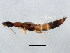  ( - BIOUG01992-G08)  @13 [ ] CreativeCommons - Attribution (2012) CBG Photography Group Centre for Biodiversity Genomics