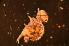  ( - LNP_049)  @13 [ ] Unspecified (default): All Rights Reserved  Unspecified Unspecified