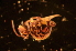 ( - LNP_051)  @13 [ ] Unspecified (default): All Rights Reserved  Unspecified Unspecified