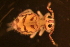  ( - LNP_054)  @12 [ ] Unspecified (default): All Rights Reserved  Unspecified Unspecified