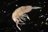  ( - BNP_028)  @11 [ ] Unspecified (default): All Rights Reserved  Unspecified Unspecified