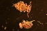  ( - LNP_055)  @13 [ ] Unspecified (default): All Rights Reserved  Unspecified Unspecified