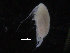  ( - COPCLAD155)  @11 [ ] CreativeCommons - Attribution Non-Commercial Share-Alike (2016) IMR Institute of Marine research