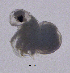  ( - COPCLAD461)  @11 [ ] CreativeCommons - Attribution Non-Commercial Share-Alike (2017) NIVA Norwegian Institute for Water Research