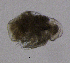  ( - COPCLAD469)  @11 [ ] CreativeCommons - Attribution Non-Commercial Share-Alike (2017) NIVA Norwegian Institute for Water Research