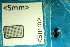  ( - Cocc_2_D5)  @11 [ ] CreativeCommons Attribution (2025) Dept Invertebrate Zoology and Hydrobiology, University of Lodz University of Lodz