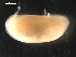  ( - BJL-CH109)  @13 [ ] CreativeCommons - Attribution (2010) Unspecified Centre for Biodiversity Genomics