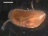  ( - BJL-CH177)  @14 [ ] CreativeCommons - Attribution (2010) Unspecified Centre for Biodiversity Genomics