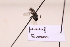  ( - BCA2194)  @11 [ ] CC-BY-NC (2023) ARTHROPOLOGIA ARTHROPOLOGIA