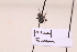  ( - BCA2195)  @11 [ ] CC-BY-NC (2023) ARTHROPOLOGIA ARTHROPOLOGIA