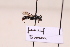  ( - BCA2195)  @11 [ ] CC-BY-NC (2023) ARTHROPOLOGIA ARTHROPOLOGIA