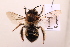  ( - BCA2198)  @11 [ ] CC-BY-NC (2023) ARTHROPOLOGIA ARTHROPOLOGIA