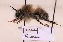  ( - BCA2197)  @11 [ ] CC-BY-NC (2023) ARTHROPOLOGIA ARTHROPOLOGIA