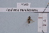  ( - BCA1900)  @11 [ ] CC-BY-NC (2023) INRAE INRAE
