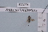  ( - BCA1901)  @11 [ ] CC-BY-NC (2023) INRAE INRAE