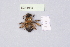  ( - BCA1994)  @11 [ ] CC-BY-NC (2023) INRAE INRAE
