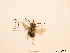  ( - BCA0724)  @11 [ ] CC-BY-NC (2021) ARTHROPOLOGIA ARTHROPOLOGIA