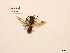  ( - BCA0725)  @11 [ ] CC-BY-NC (2021) ARTHROPOLOGIA ARTHROPOLOGIA
