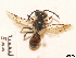  ( - BCA0725)  @11 [ ] CC-BY-NC (2021) ARTHROPOLOGIA ARTHROPOLOGIA