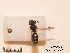  ( - BCA0745)  @11 [ ] CC-BY-NC (2021) ARTHROPOLOGIA ARTHROPOLOGIA