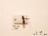  ( - BCA0745)  @11 [ ] CC-BY-NC (2021) ARTHROPOLOGIA ARTHROPOLOGIA