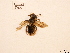  ( - BCA0746)  @11 [ ] CC-BY-NC (2021) ARTHROPOLOGIA ARTHROPOLOGIA