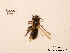  ( - BCA0750)  @11 [ ] CC-BY-NC (2021) ARTHROPOLOGIA ARTHROPOLOGIA