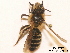  ( - BCA0750)  @11 [ ] CC-BY-NC (2021) ARTHROPOLOGIA ARTHROPOLOGIA