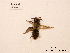  ( - BCA0751)  @11 [ ] CC-BY-NC (2021) ARTHROPOLOGIA ARTHROPOLOGIA