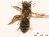  ( - BCA0751)  @11 [ ] CC-BY-NC (2021) ARTHROPOLOGIA ARTHROPOLOGIA