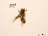  ( - BCA0754)  @11 [ ] CC-BY-NC (2021) ARTHROPOLOGIA ARTHROPOLOGIA