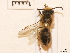  ( - BCA0755)  @11 [ ] CC-BY-NC (2021) ARTHROPOLOGIA ARTHROPOLOGIA