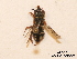  ( - BCA0781)  @11 [ ] CC-BY-NC (2021) ARTHROPOLOGIA ARTHROPOLOGIA