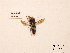  ( - BCA0787)  @11 [ ] CC-BY-NC (2021) ARTHROPOLOGIA ARTHROPOLOGIA
