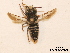  ( - BCA0787)  @11 [ ] CC-BY-NC (2021) ARTHROPOLOGIA ARTHROPOLOGIA