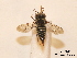  ( - BCA0788)  @11 [ ] CC-BY-NC (2021) ARTHROPOLOGIA ARTHROPOLOGIA