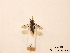  ( - BCA0788)  @11 [ ] CC-BY-NC (2021) ARTHROPOLOGIA ARTHROPOLOGIA