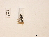  ( - BCA0792)  @11 [ ] CC-BY-NC (2021) ARTHROPOLOGIA ARTHROPOLOGIA