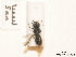  ( - BCA0792)  @11 [ ] CC-BY-NC (2021) ARTHROPOLOGIA ARTHROPOLOGIA