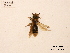  ( - BCA0805)  @11 [ ] CC-BY-NC (2021) ARTHROPOLOGIA ARTHROPOLOGIA