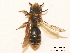  ( - BCA0805)  @11 [ ] CC-BY-NC (2021) ARTHROPOLOGIA ARTHROPOLOGIA