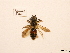  ( - BCA0808)  @11 [ ] CC-BY-NC (2021) ARTHROPOLOGIA ARTHROPOLOGIA