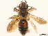  ( - BCA0808)  @11 [ ] CC-BY-NC (2021) ARTHROPOLOGIA ARTHROPOLOGIA