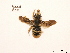  ( - BCA0811)  @11 [ ] CC-BY-NC (2021) ARTHROPOLOGIA ARTHROPOLOGIA
