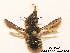  ( - BCA0812)  @11 [ ] CC-BY-NC (2021) ARTHROPOLOGIA ARTHROPOLOGIA