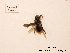  ( - BCA0813)  @11 [ ] CC-BY-NC (2021) ARTHROPOLOGIA ARTHROPOLOGIA