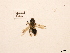  ( - BCA0827)  @11 [ ] CC-BY-NC (2021) ARTHROPOLOGIA ARTHROPOLOGIA