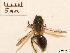  ( - BCA0827)  @11 [ ] CC-BY-NC (2021) ARTHROPOLOGIA ARTHROPOLOGIA