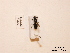  ( - BCA0832)  @11 [ ] CC-BY-NC (2021) ARTHROPOLOGIA ARTHROPOLOGIA